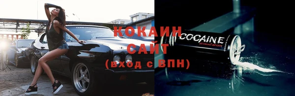 ГАЛЛЮЦИНОГЕННЫЕ ГРИБЫ Сатка
