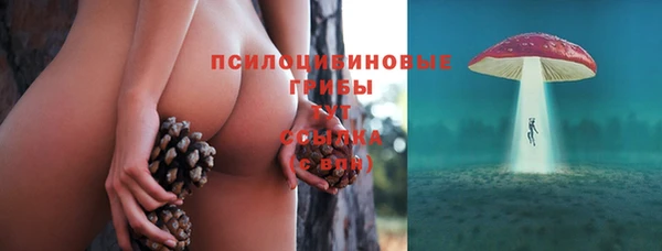 хмурый Саяногорск