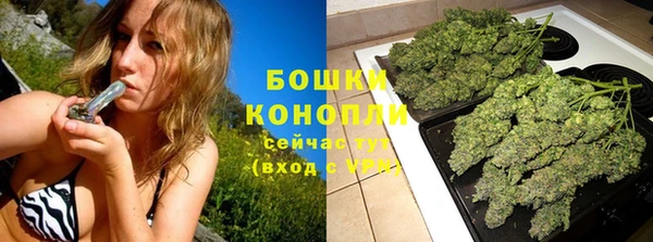 ГАЛЛЮЦИНОГЕННЫЕ ГРИБЫ Сатка