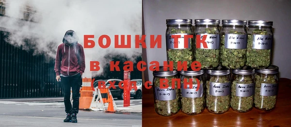 ГАЛЛЮЦИНОГЕННЫЕ ГРИБЫ Сатка